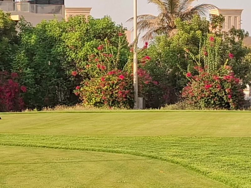 Luxury Villas