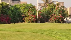 Luxury Villas