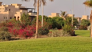Luxury Villas