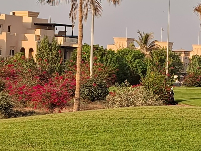Luxury Villas