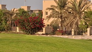 Luxury Villas