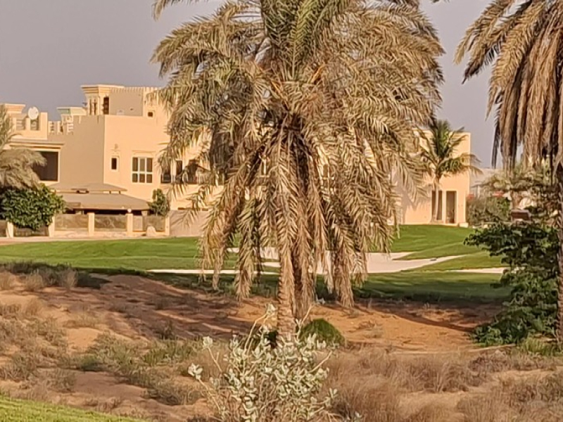 Luxury Villas