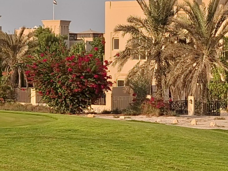 Luxury Villas