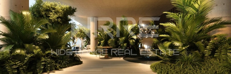 Office DLRC